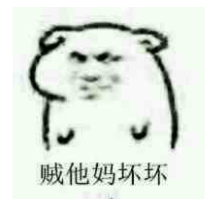 丁丁花