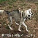 💥沼淼°🇿 🇲 🇲 🇲