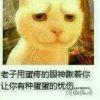 起名字真难