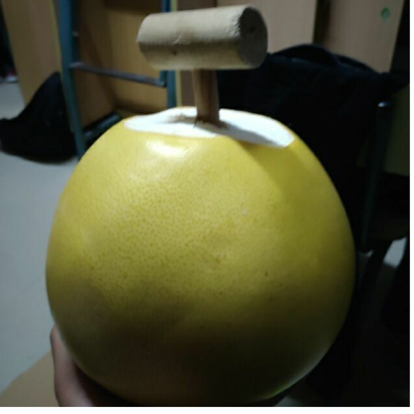 远·溯
