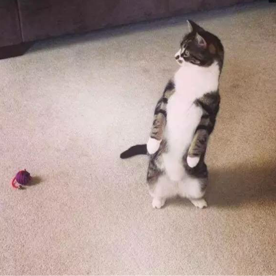 汙笙
