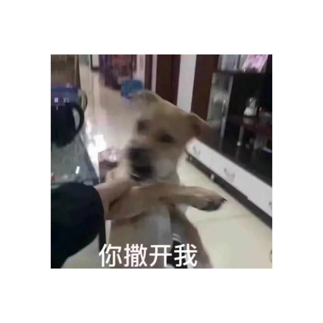 龟龟