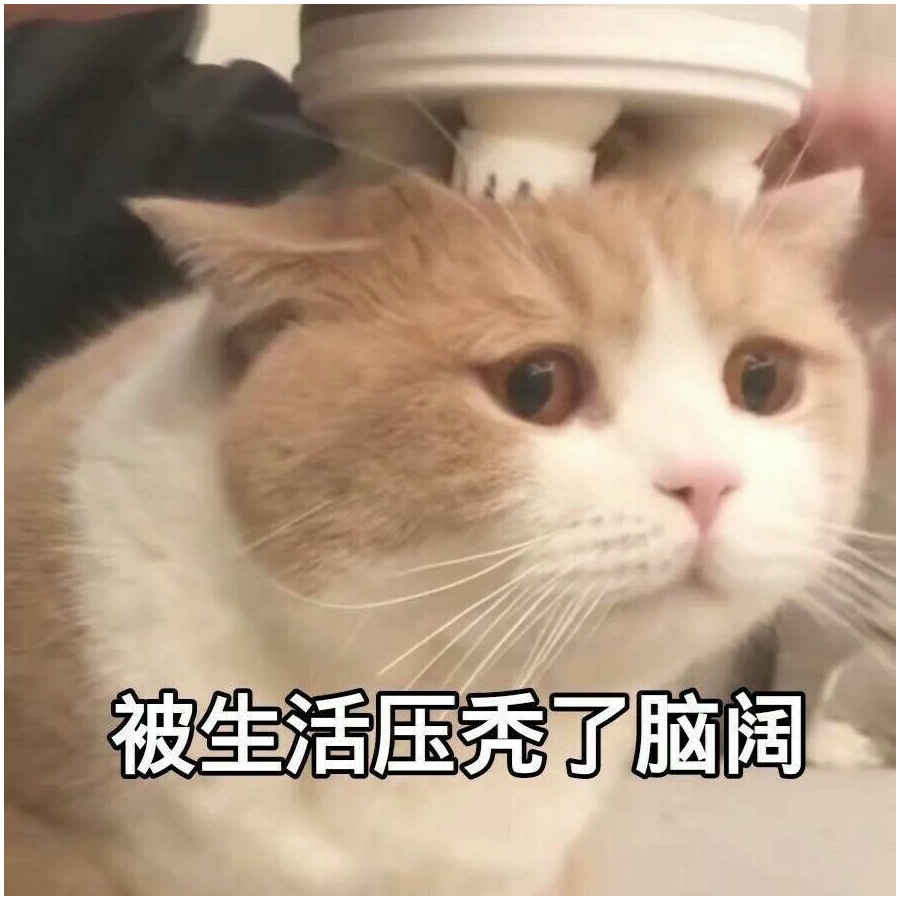 迟暮