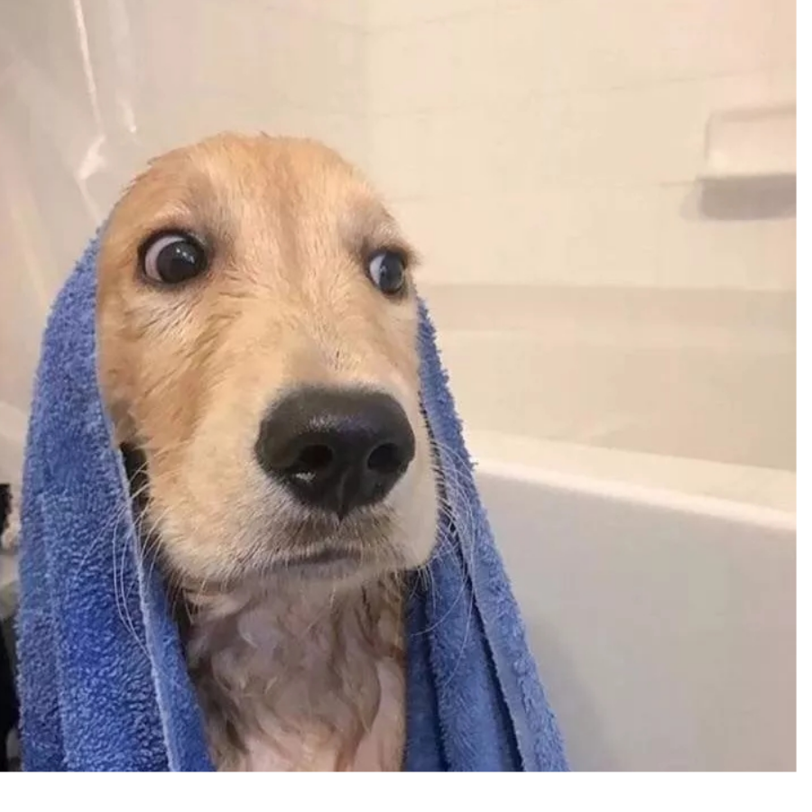 是灰灰吖～