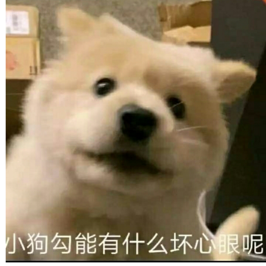 你是我没有过的向往