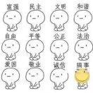 一拍即盒