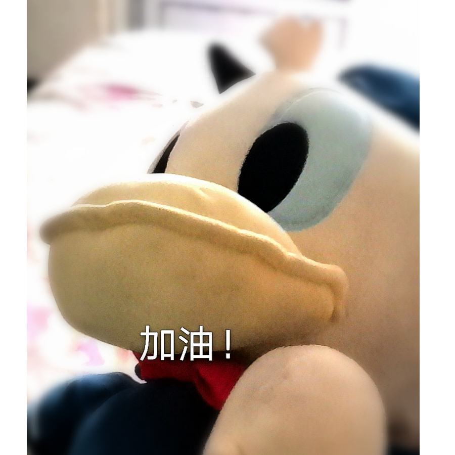 加油鸭