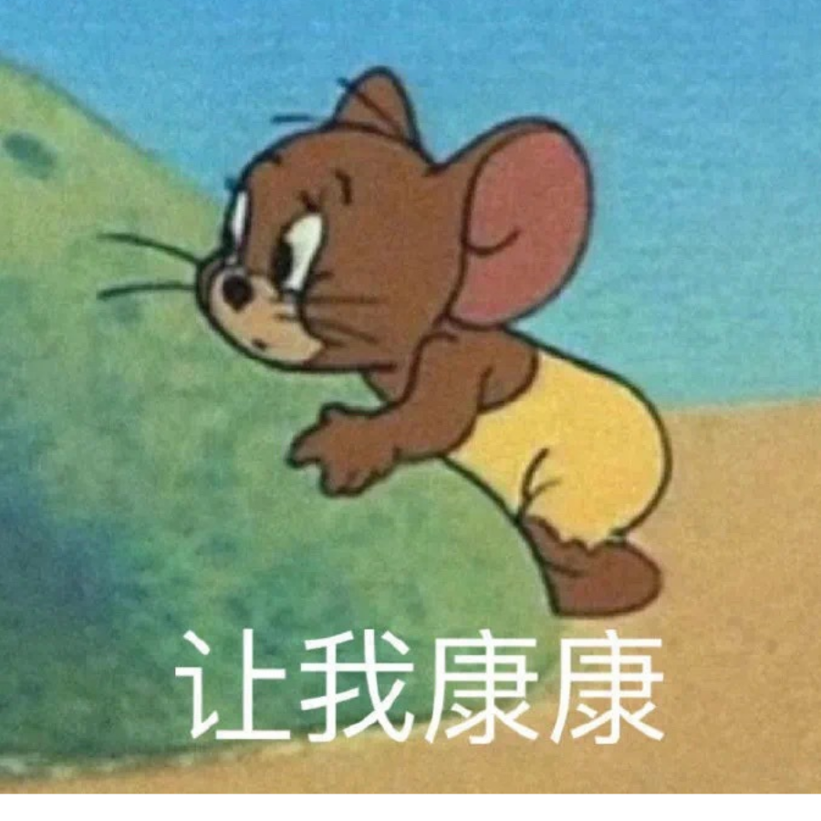 西瓜皮