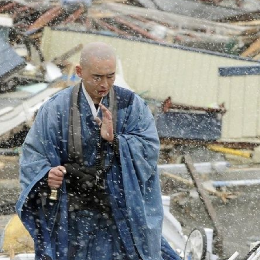 野岛