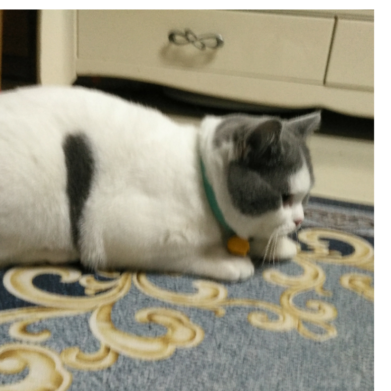 萧悬溺