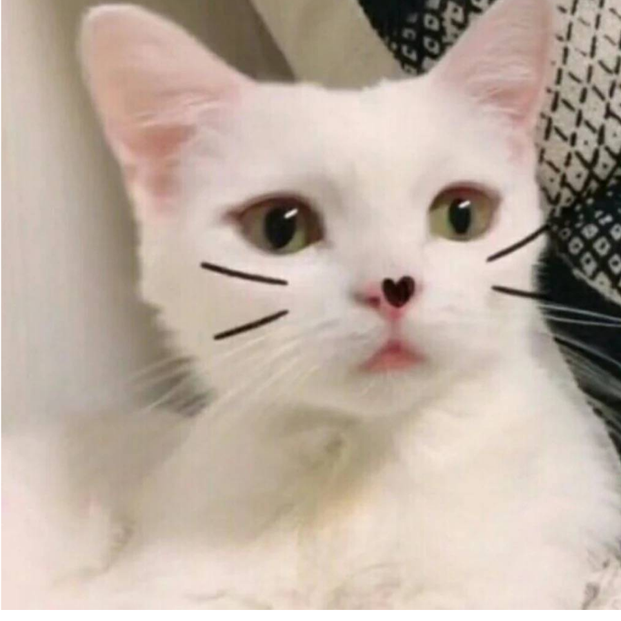柒柒