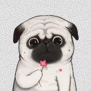 一蓑烟雨任平生