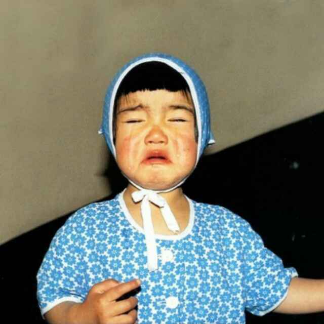 菠梨