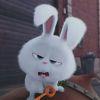 七月、七日
