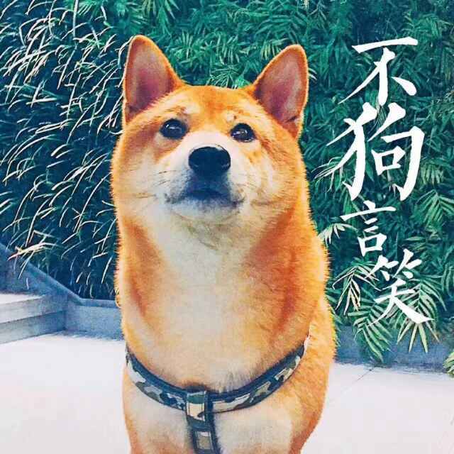 修勾勾