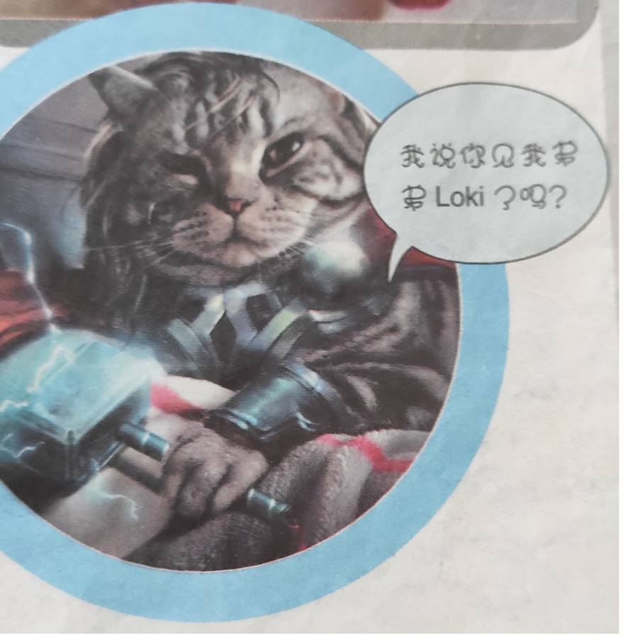 小风子