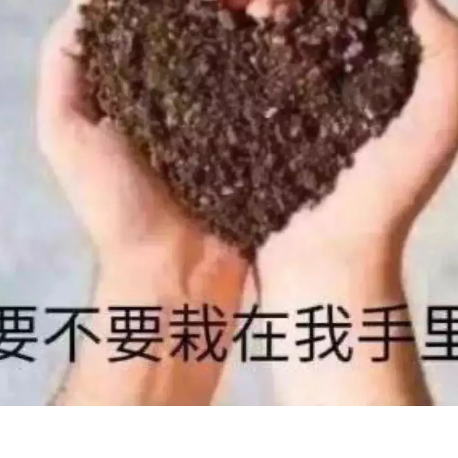 黑暗森林