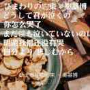 梦
