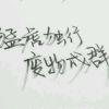 老友🔥Y°