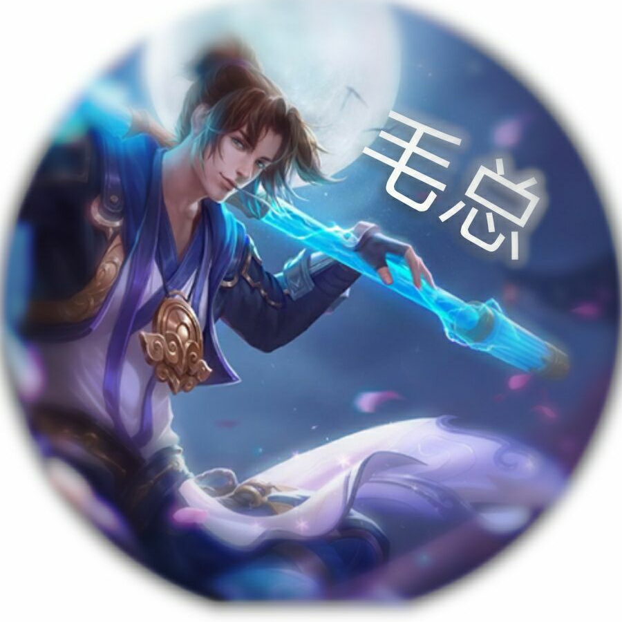 毛总