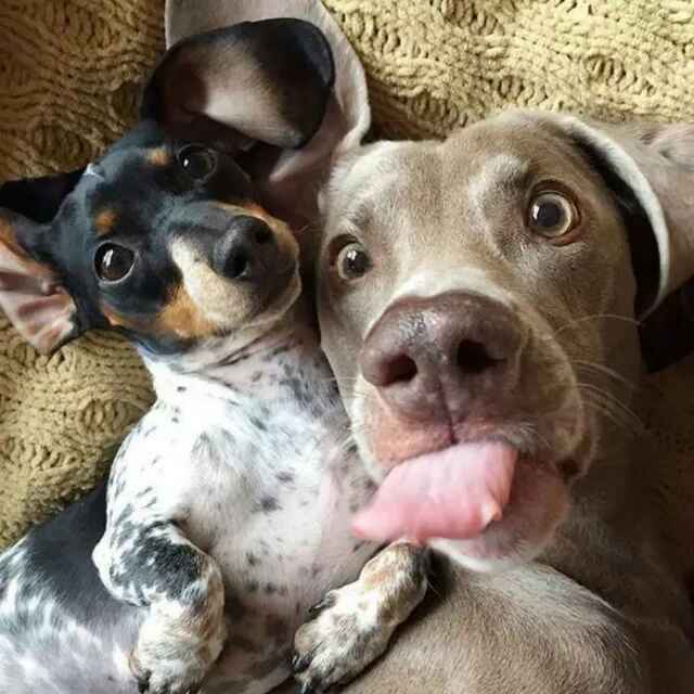 （: