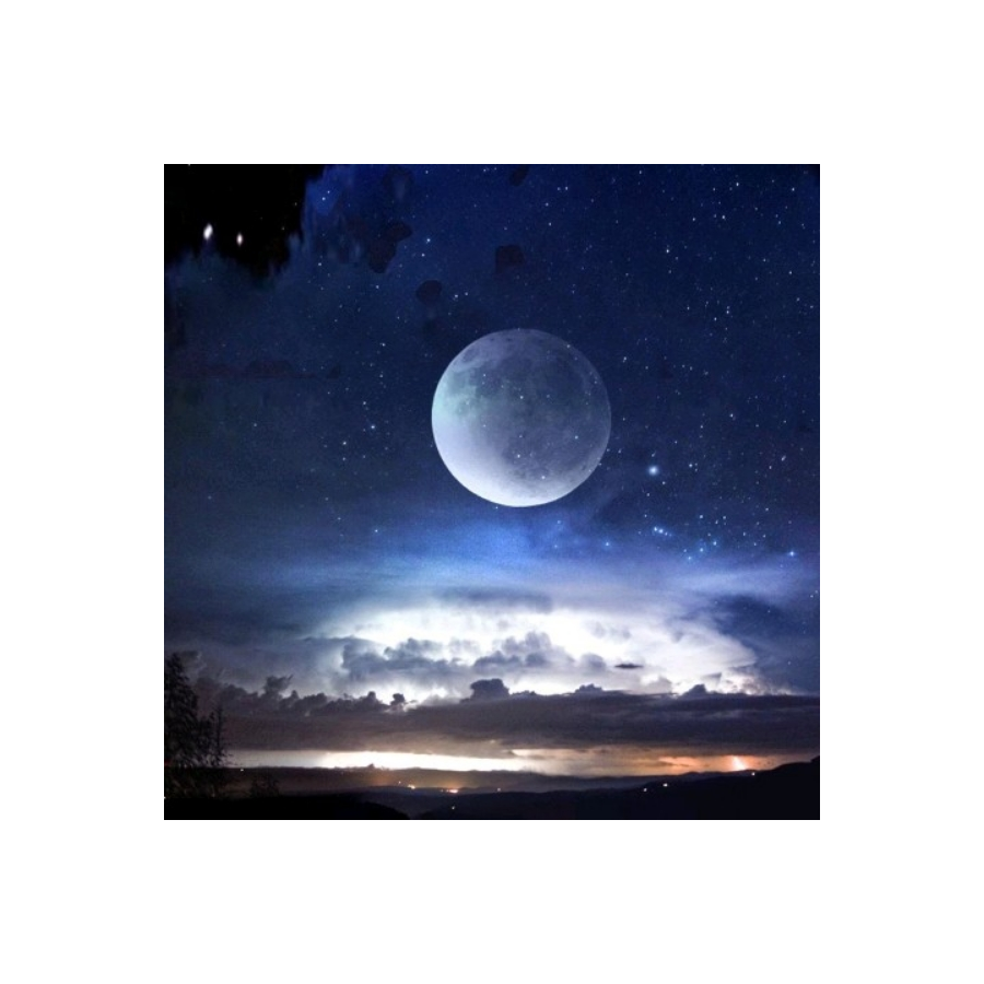 星光下的梦想