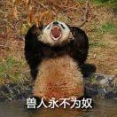 双子座