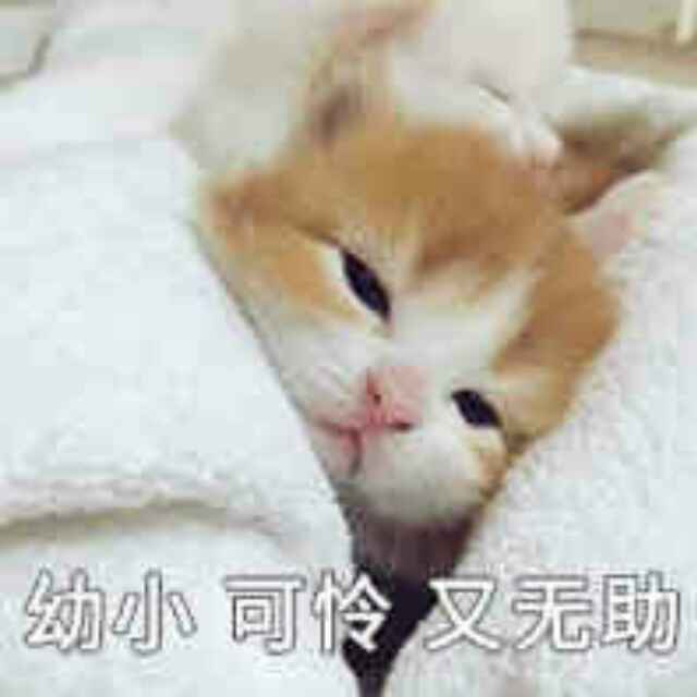 土豆正在输入…