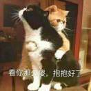 缘赖入迟