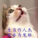 刘晓晓