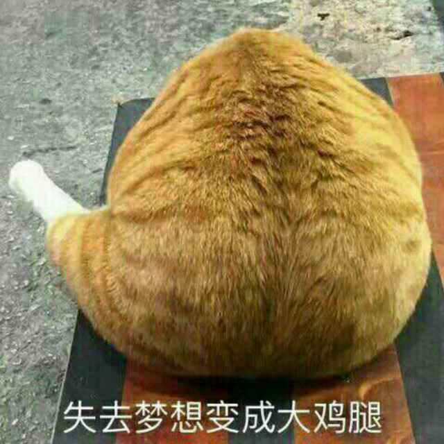 远方的一