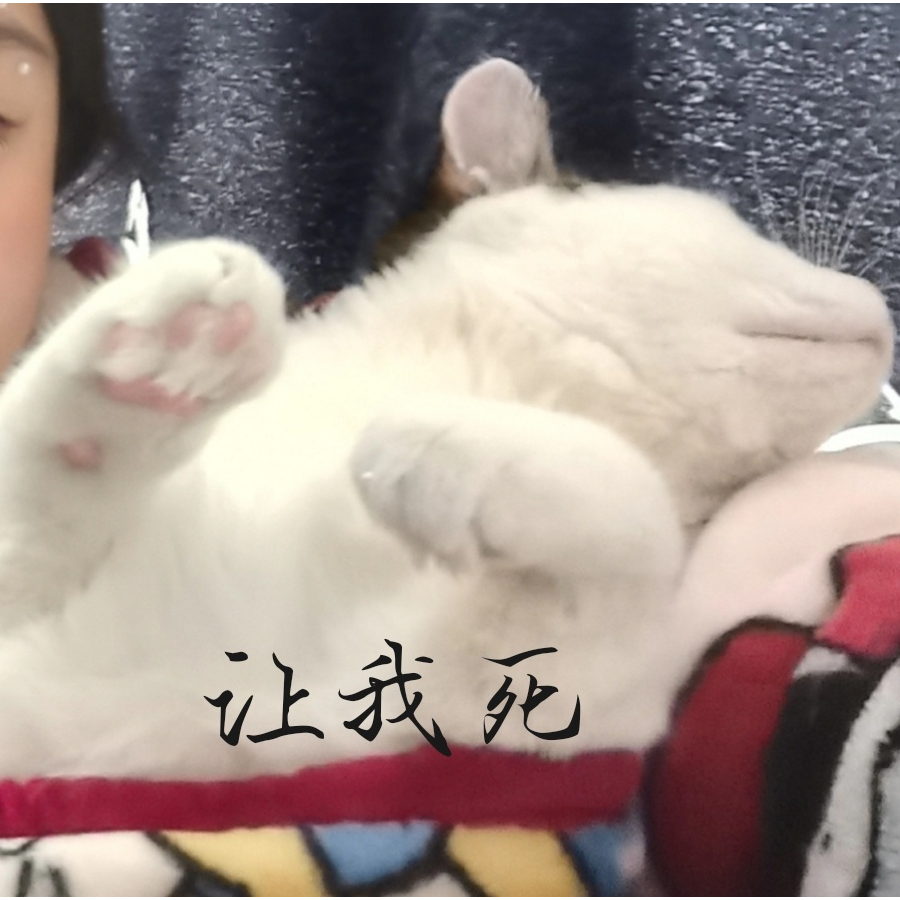 请输入昵称