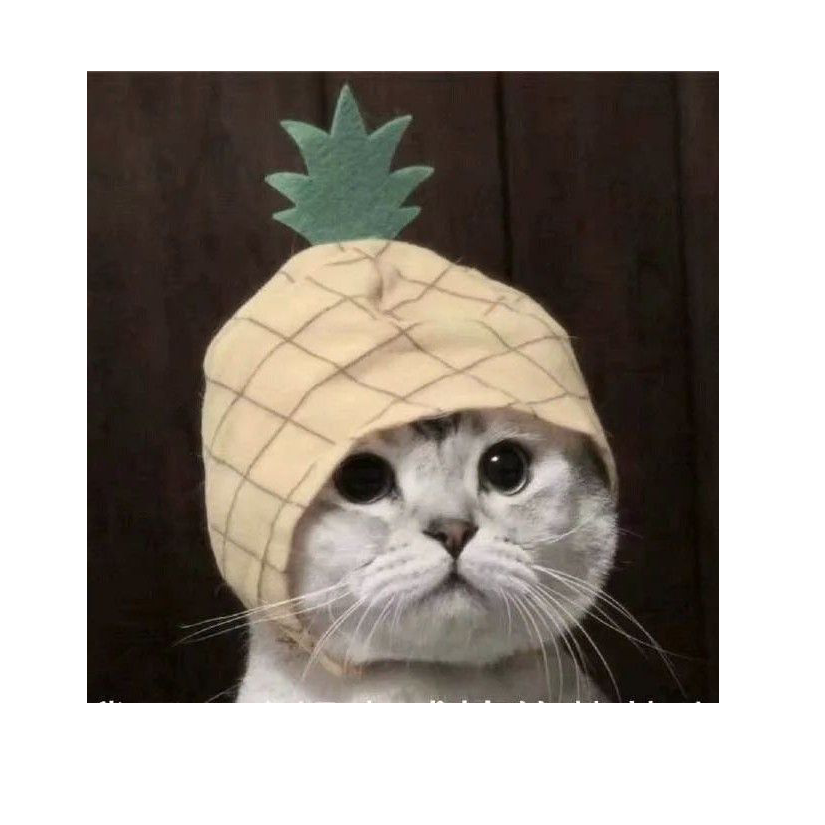 维C当糖吃
