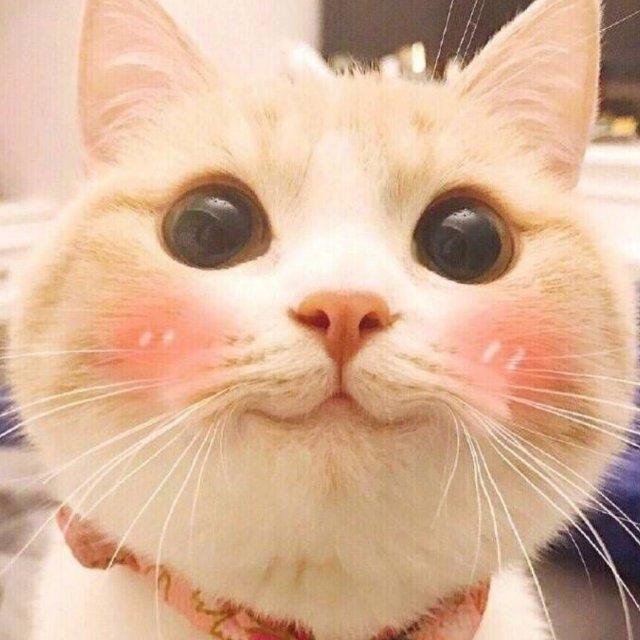 龙瑾