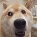 生病