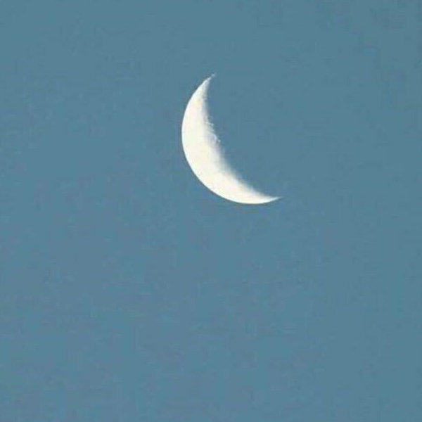 moonmoon.