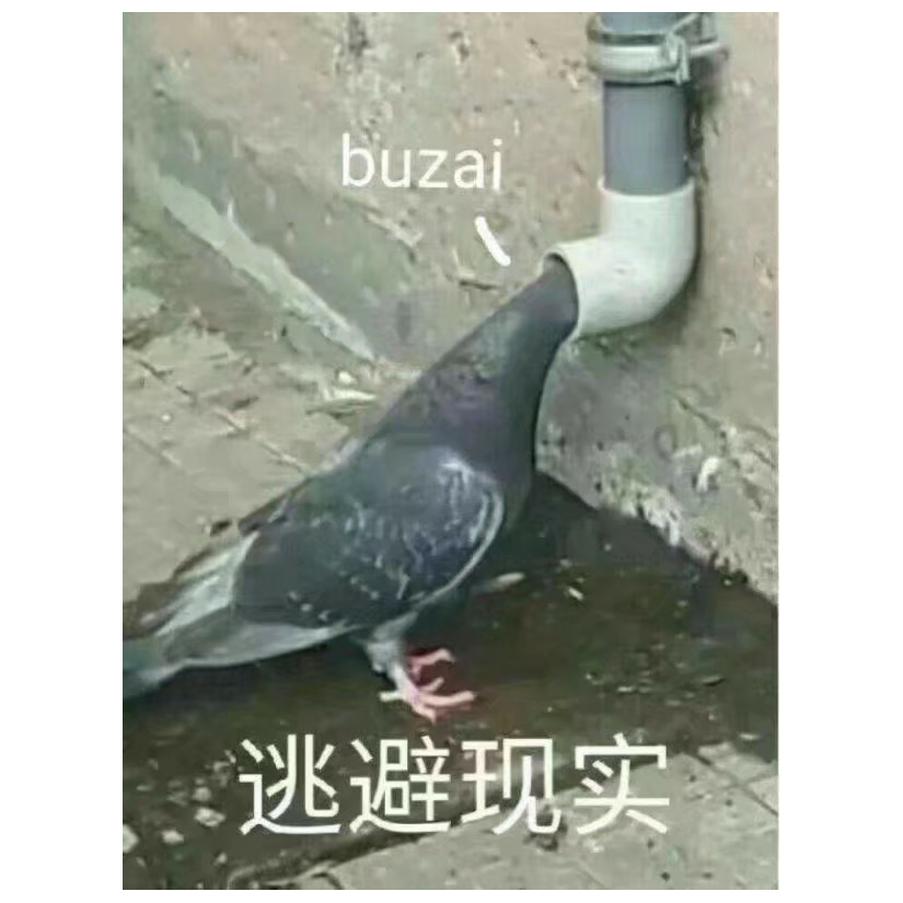 佐木辰