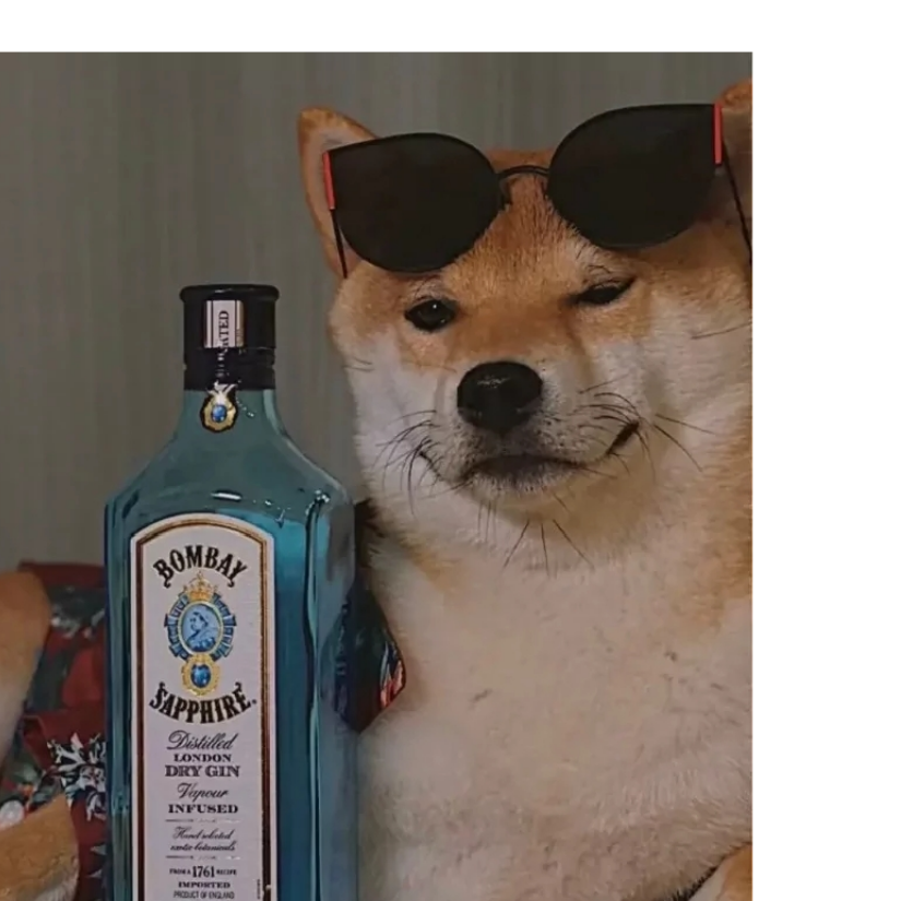 等待并心怀希望吧