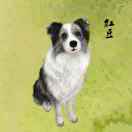院长与您相约安定
