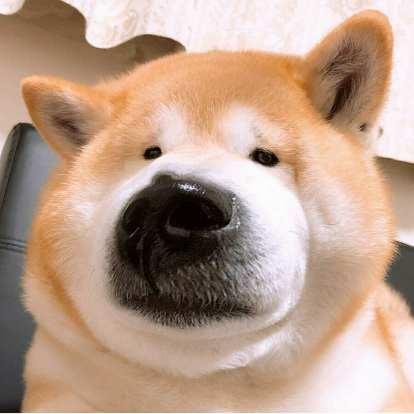 夼