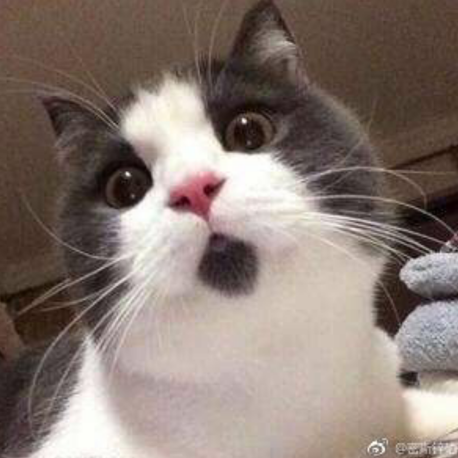小元才不圆