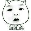 目目