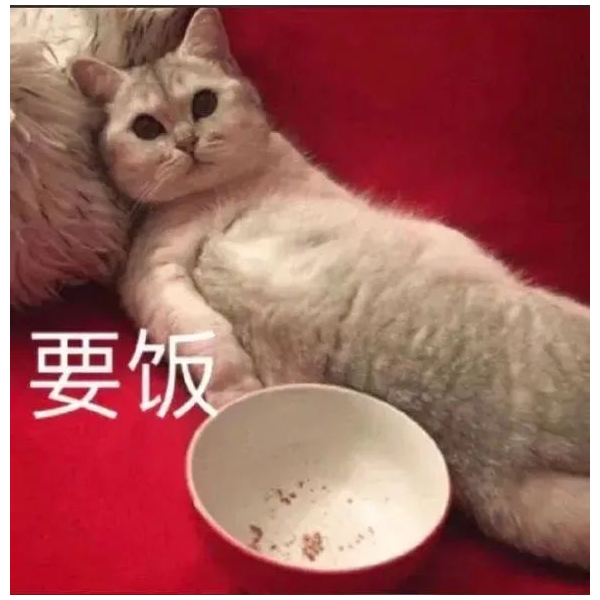 钨寧