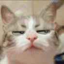 里徒