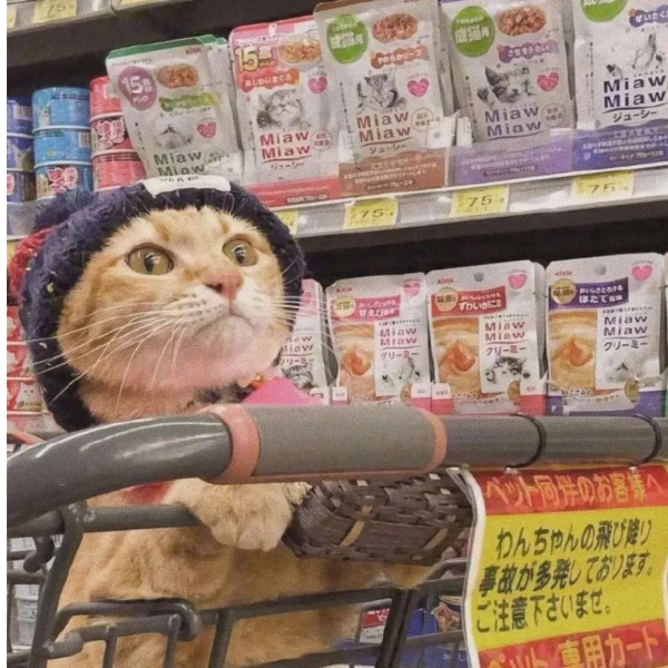 满栀