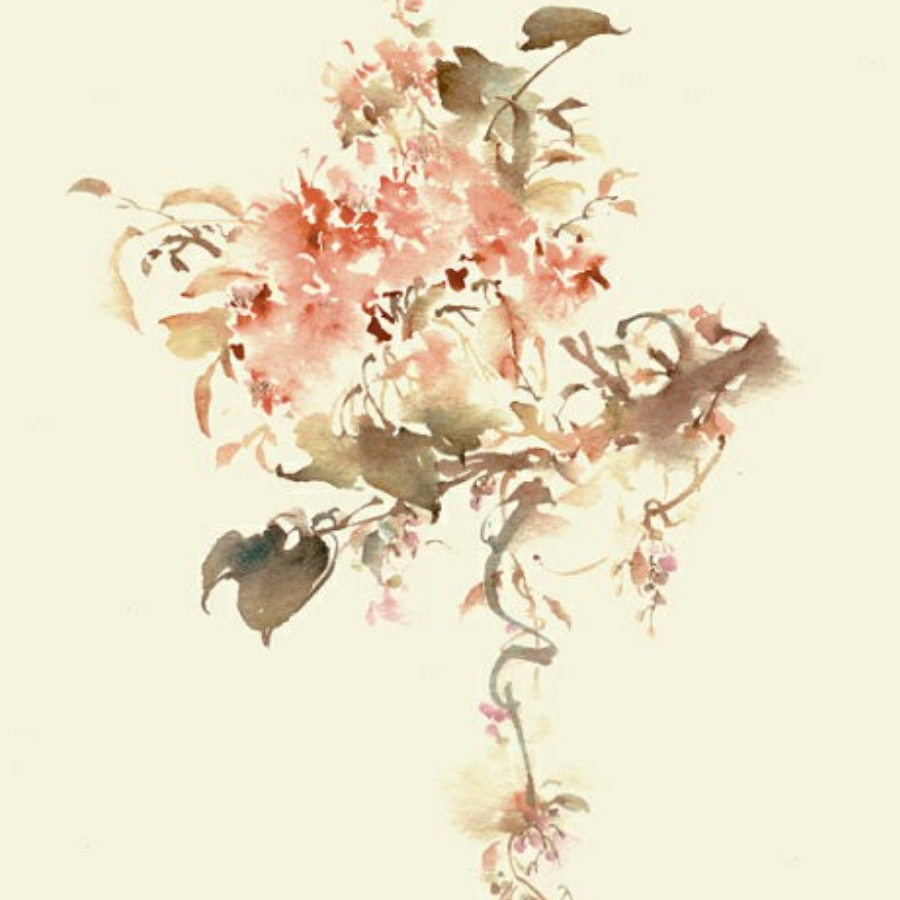 故里正飞花🌸
