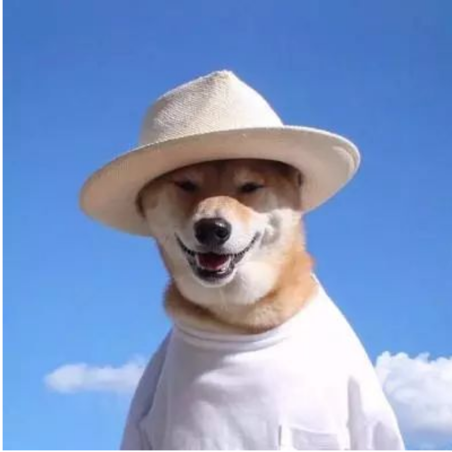 大夫～换个肝