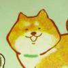 ak不行