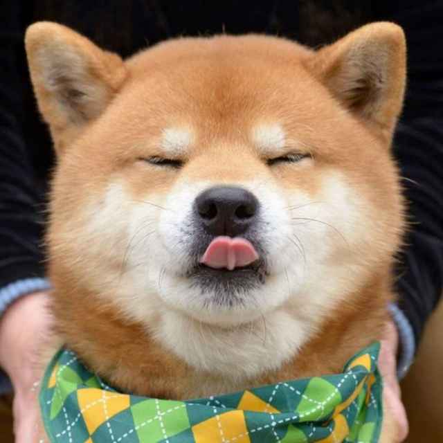 闰土的猹