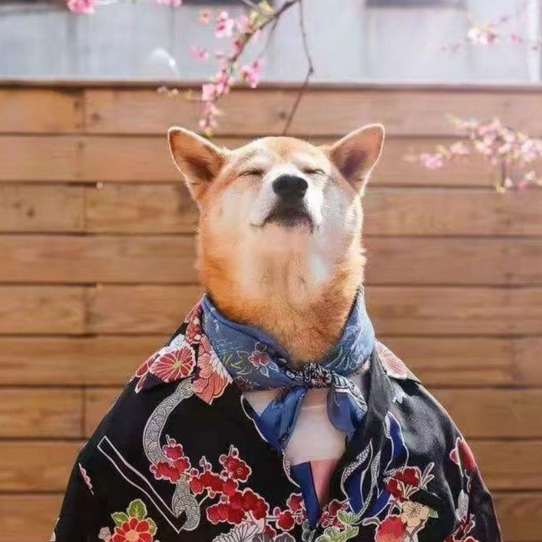 你我山巅自相逢